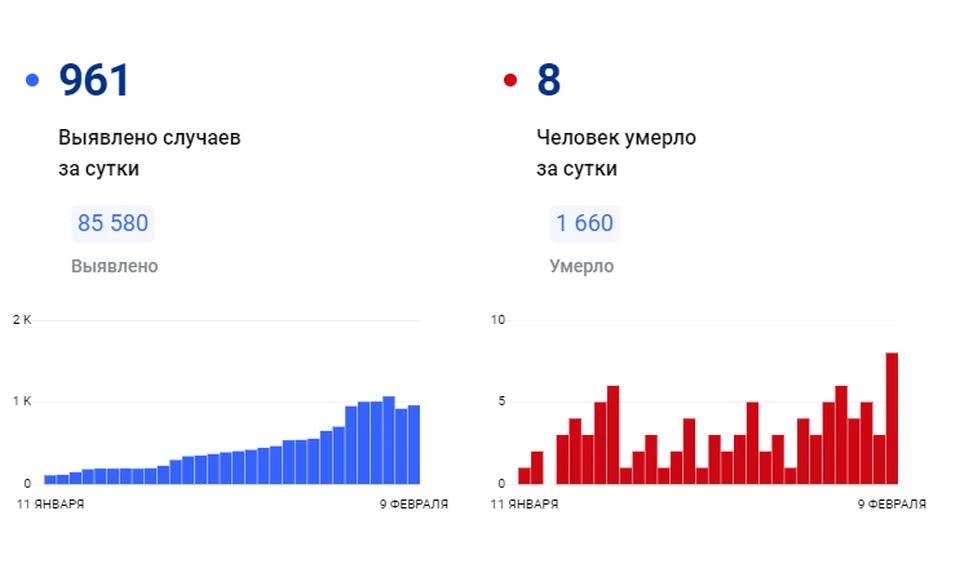Фото: сайт "стопкоронавирус.рф"