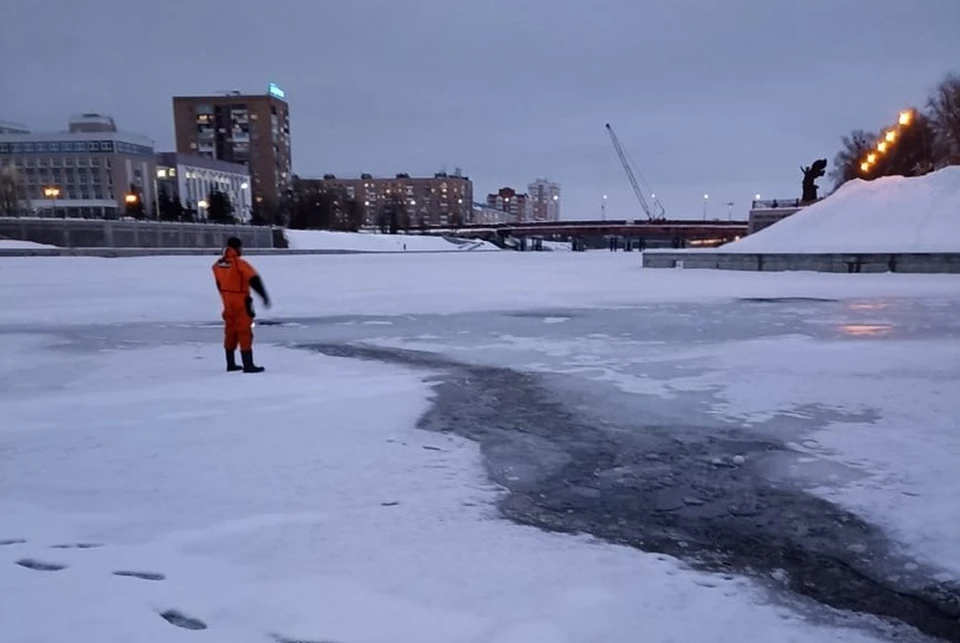 В центре Орла спасатели вытащили собаку из полыньи