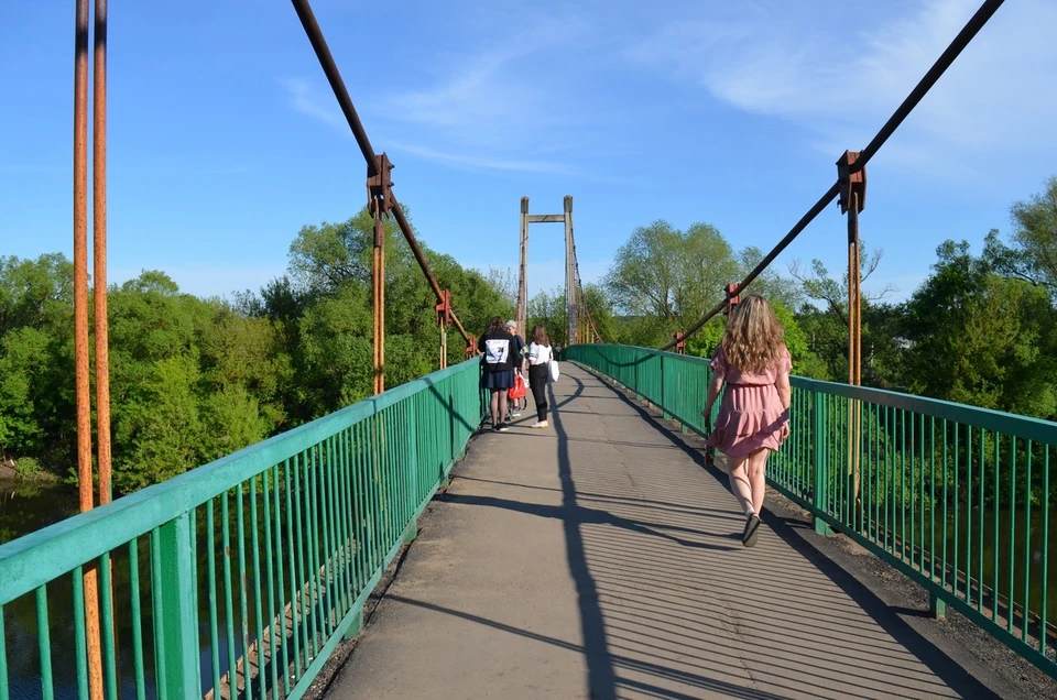 Мост на Ботанике снова пообещали отремонтировать