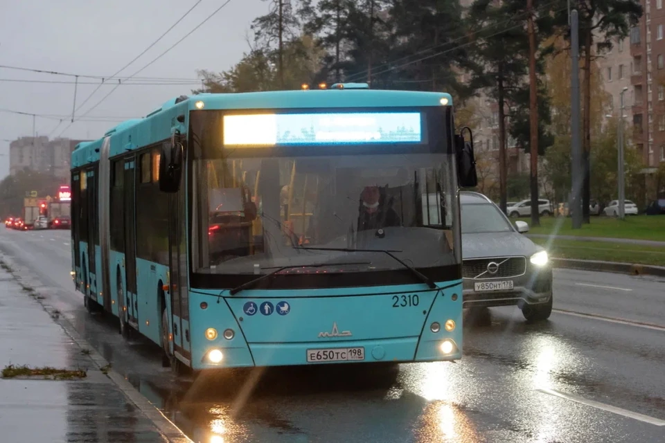 Автобус №251 запустят в Выборгском районе Петербурга вместо маршрутки К-152.