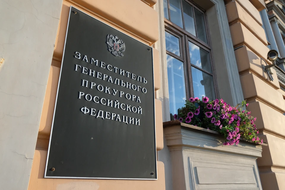Прокуратура взяла на контроль расследование дела об избиении отцом трехмесячной девочки в Петербурге
