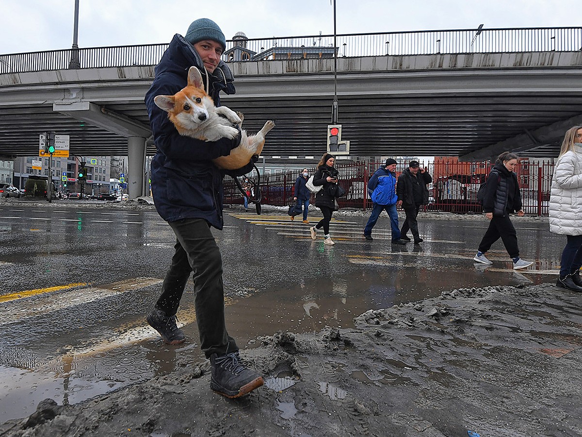 Температура в марте москва