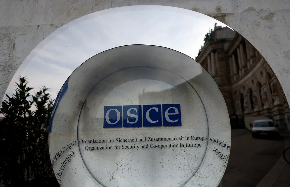 Ирландцы могут покинуть миссию ОБСЕ на Украине