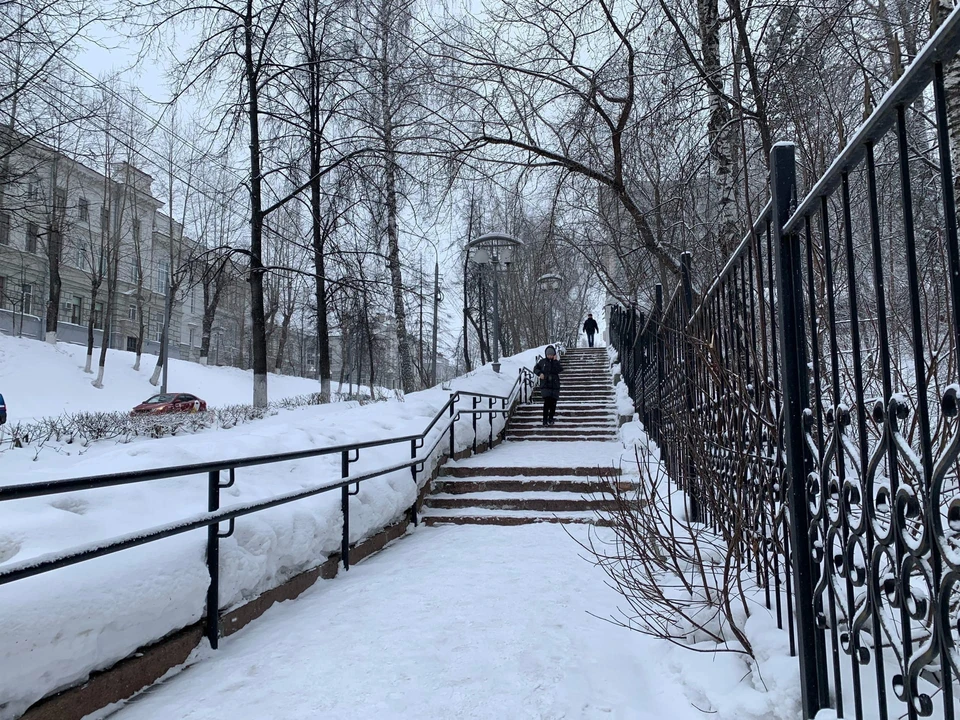 Фото: Ксения Высотина