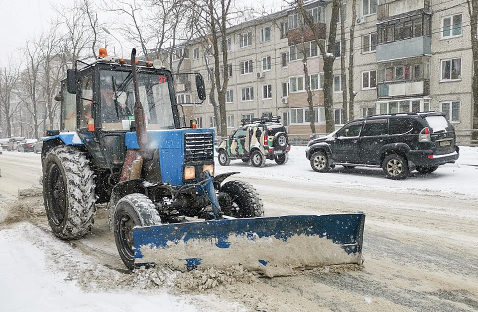 Фото: пресс-служба краевого правительства