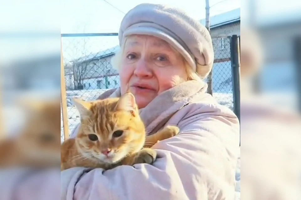 Кот вернулся в заботливые руки любящей хозяйки Фото: скриншот из видео
