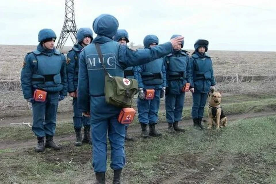 Саперы МЧС ДНР обезвредили на юге Республики 623 взрывоопасных предмета. Фото: dnronline.su