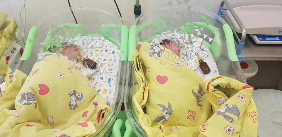 В новом тульском перинатальном центре родилась первая двойня
