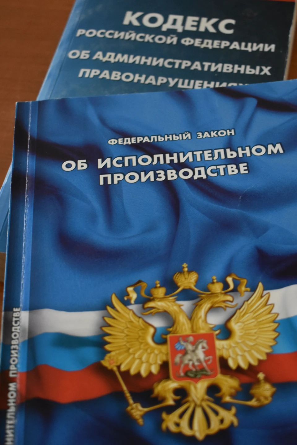 Если мужчина не начнет гасить задолженность, то к нему будут применены меры в рамках УК РФ. Фото пресс-службы УФССП России по Белгородской области.