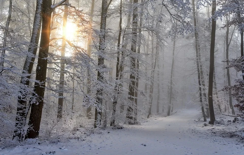 Фото: Pixabay