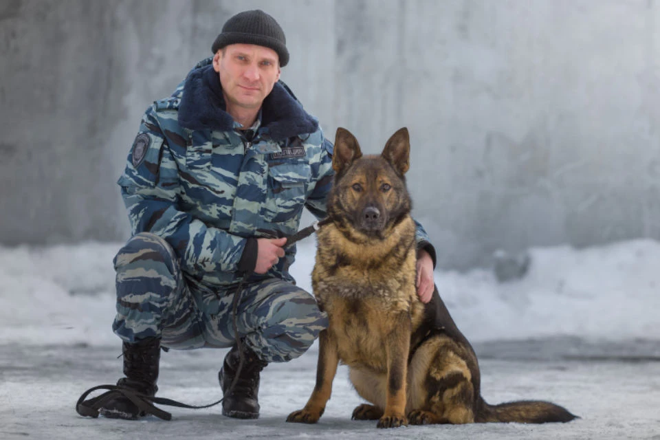 Собака своим поведением указала на мужчину, который подходил под описание злоумышленника.