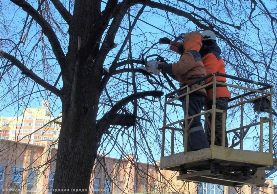 В Рязани продолжаются работы по валке и обрезке больных и упавших деревьев. Фото: пресс-служба администрации Рязани.