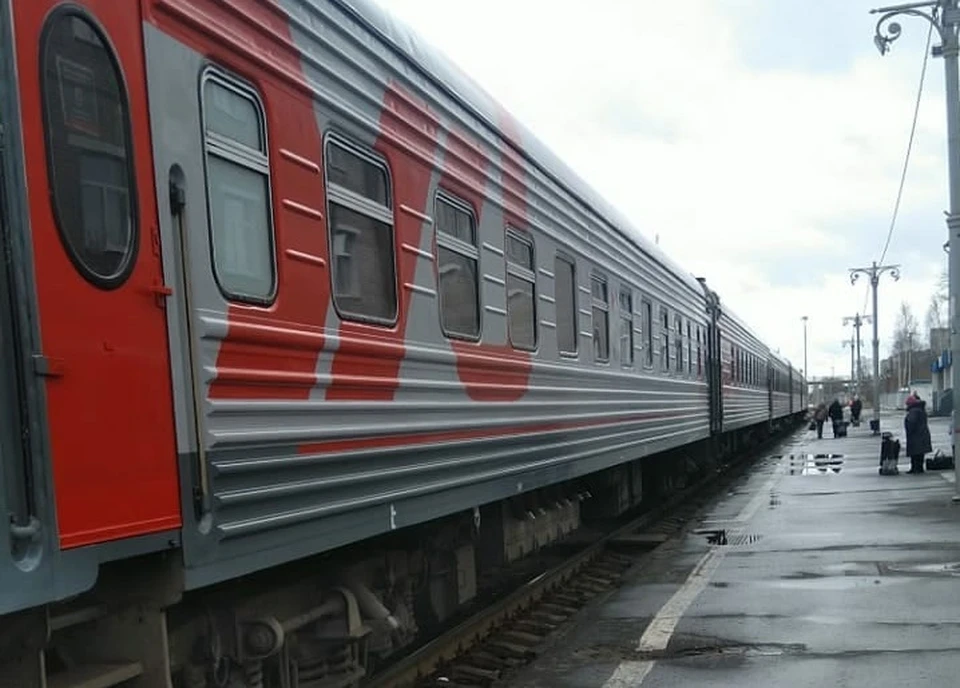 Фото: подразделение по делам несовершеннолетних УТ МВД по СЗФО
