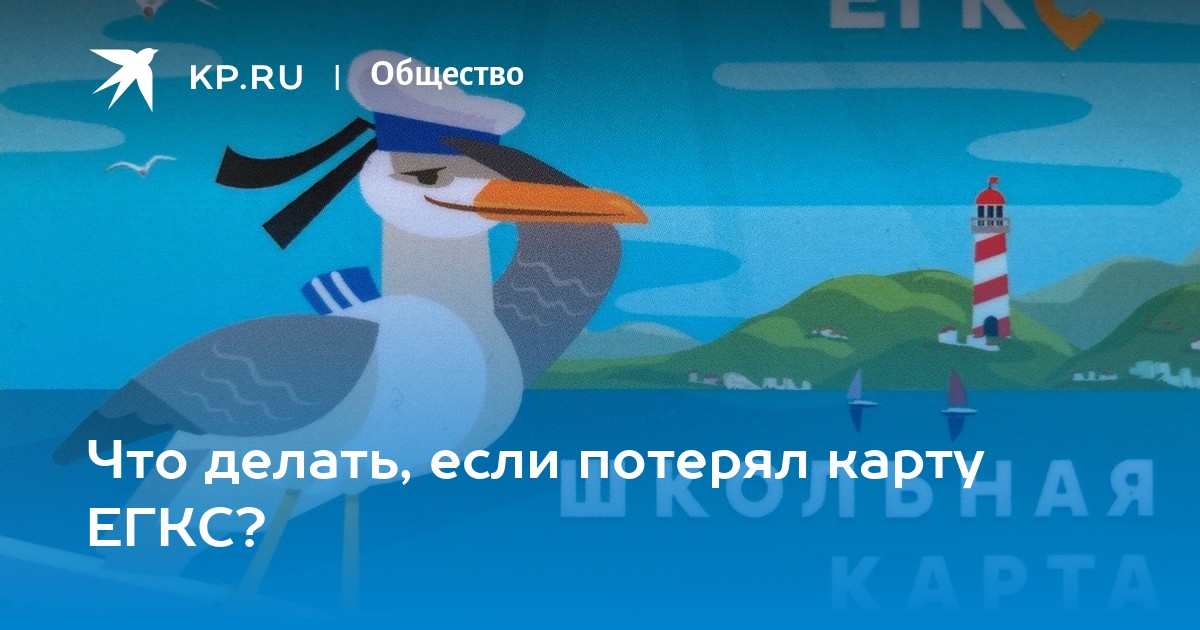 Роман Мугерман попросил прокуратуру проверить программу «Школьная карта»