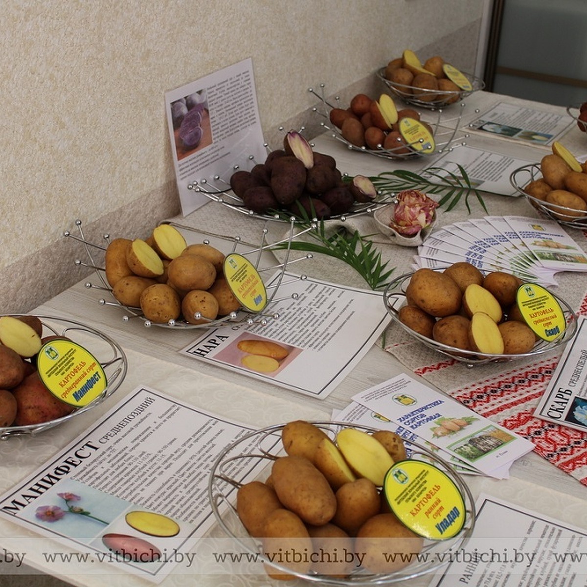 Белорусские эксперты назвали самые вкусные сорта картофеля - KP.RU