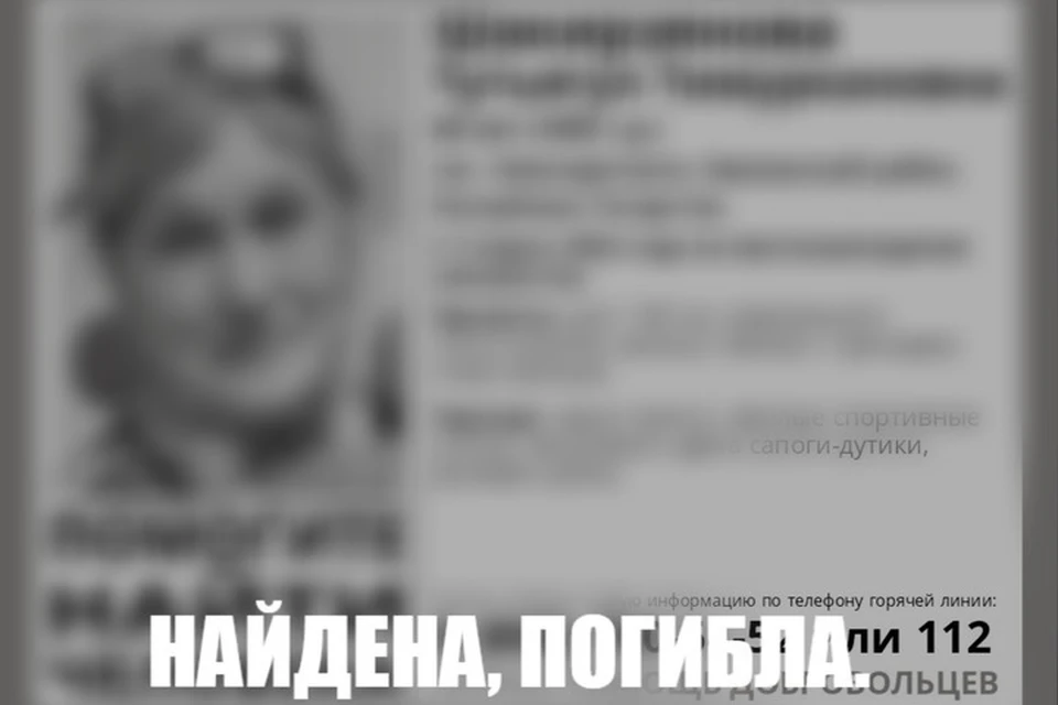 Фото: ПСО «Лиза Алерт»