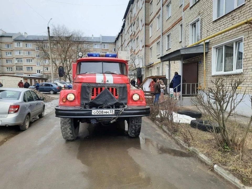 Фото: ГУ МЧС России по Владимирской области