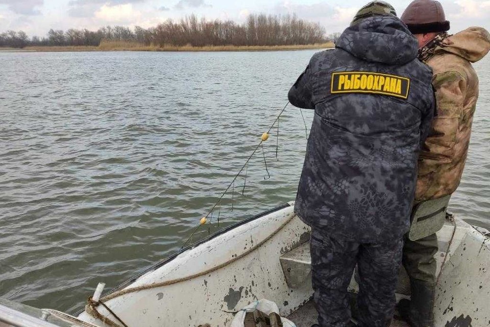 В Ростовской области ограничат вылов рыбы. Фото: АЧТУ Росрыболовства.