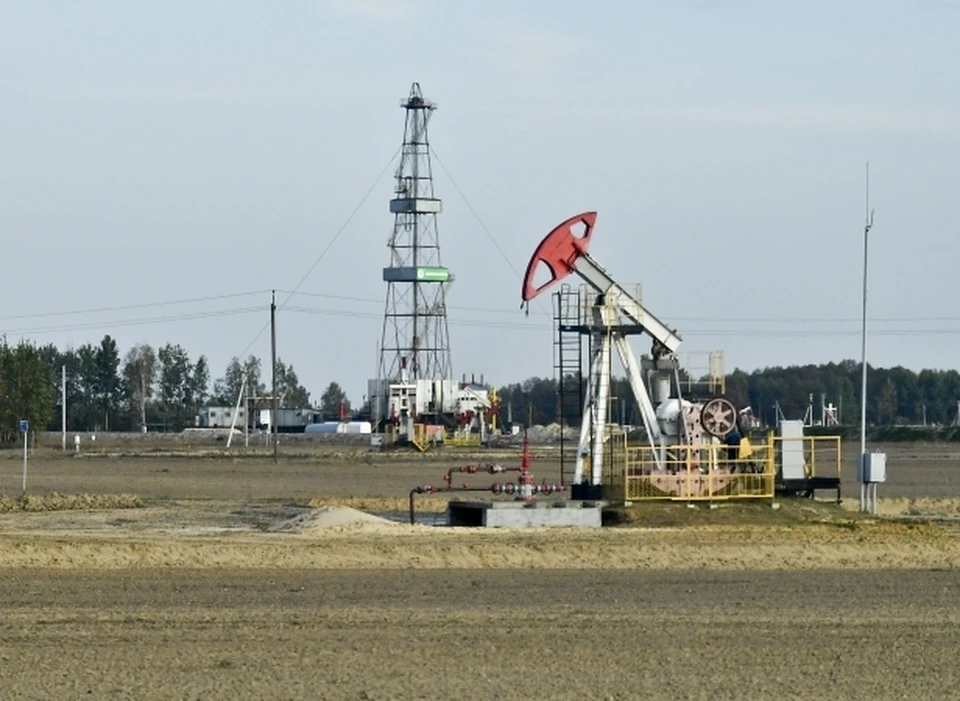 Шольц заявил, что Германия может стать независимой от импорта нефти из России уже в 2022 году
