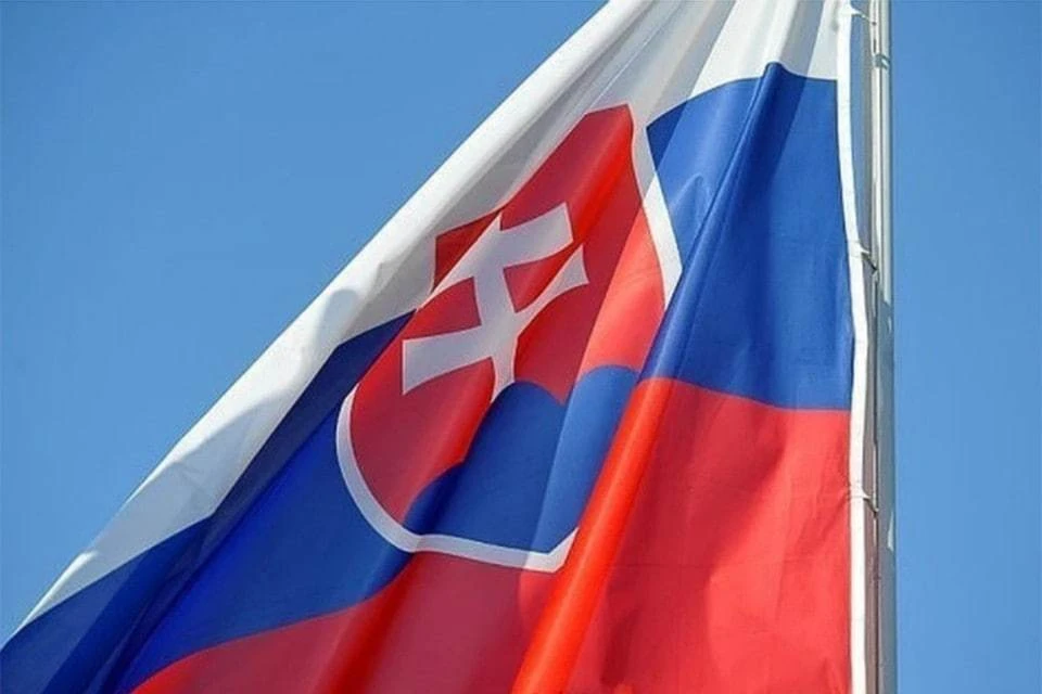 Высылка словацких дипломатов - зеркальный ответ на действия властей Словакии против сотрудников российских посольств