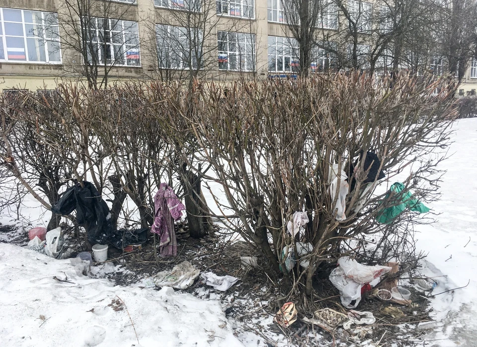 Туляки жалуются в соцсетях на захламленность скверов