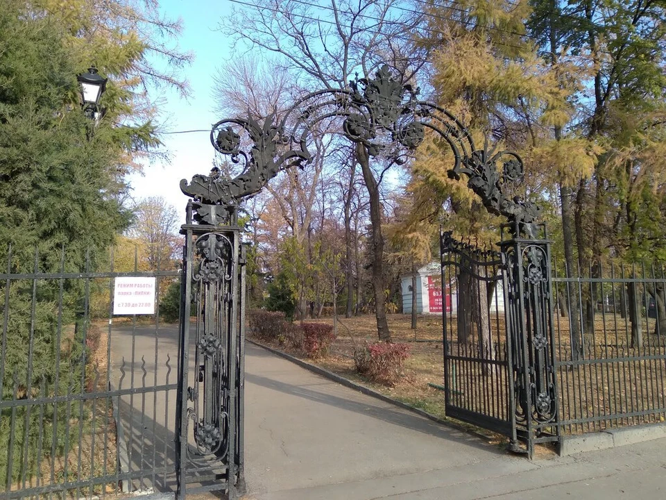 Липки