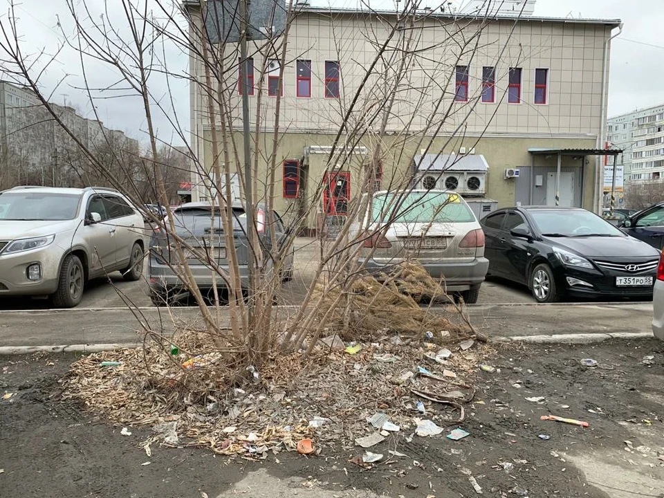 Фото: телеграм-канал омского мэра.