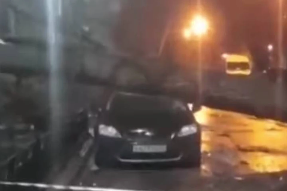 Дерево придавило машину на В.О. в Петербурге