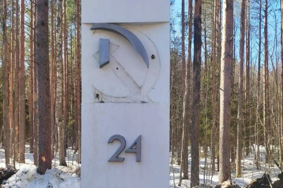Следственный комитет начал проверку после повреждения одного из километровых столбов Дороги Жизни в Ленобласти / Фото: Администрация ЛО