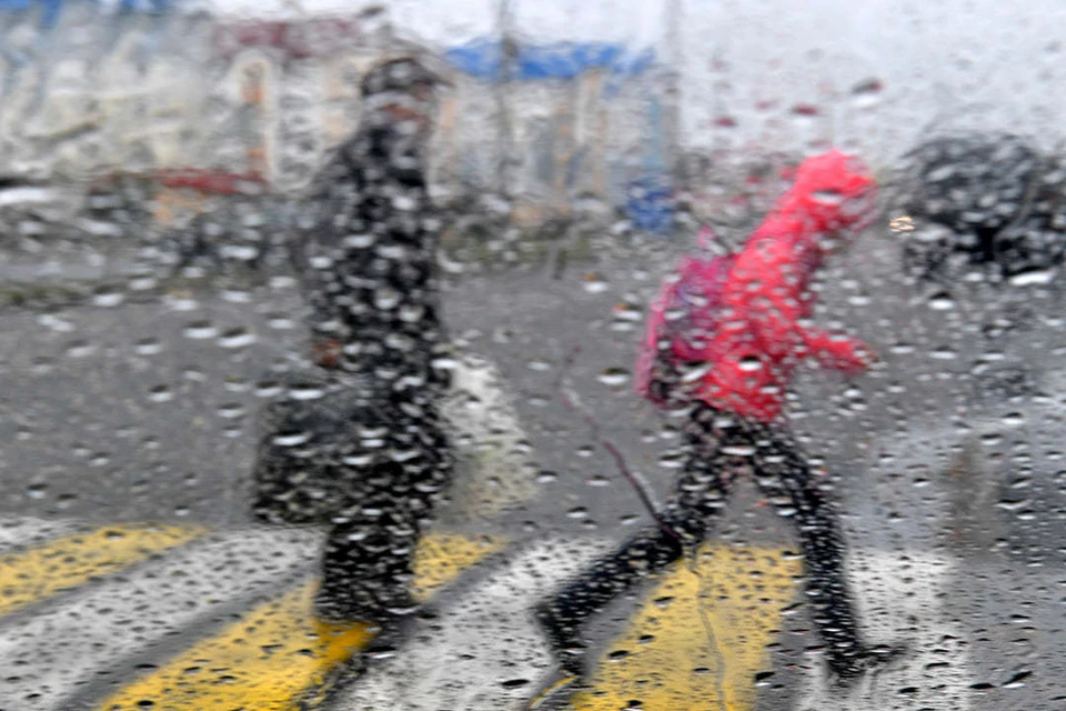 До конца апреля в центральной части России будет мокро и прохладно.