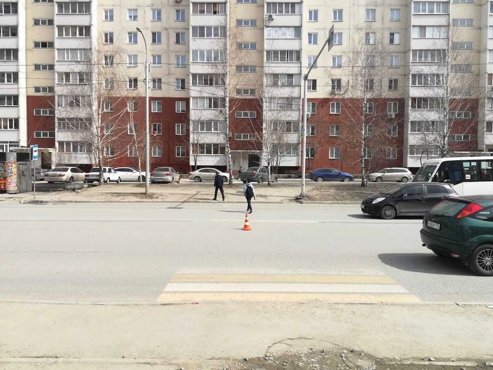 Ребенок переходил дорогу по «зебре». Фото: ГИБДД по Новосибирску
