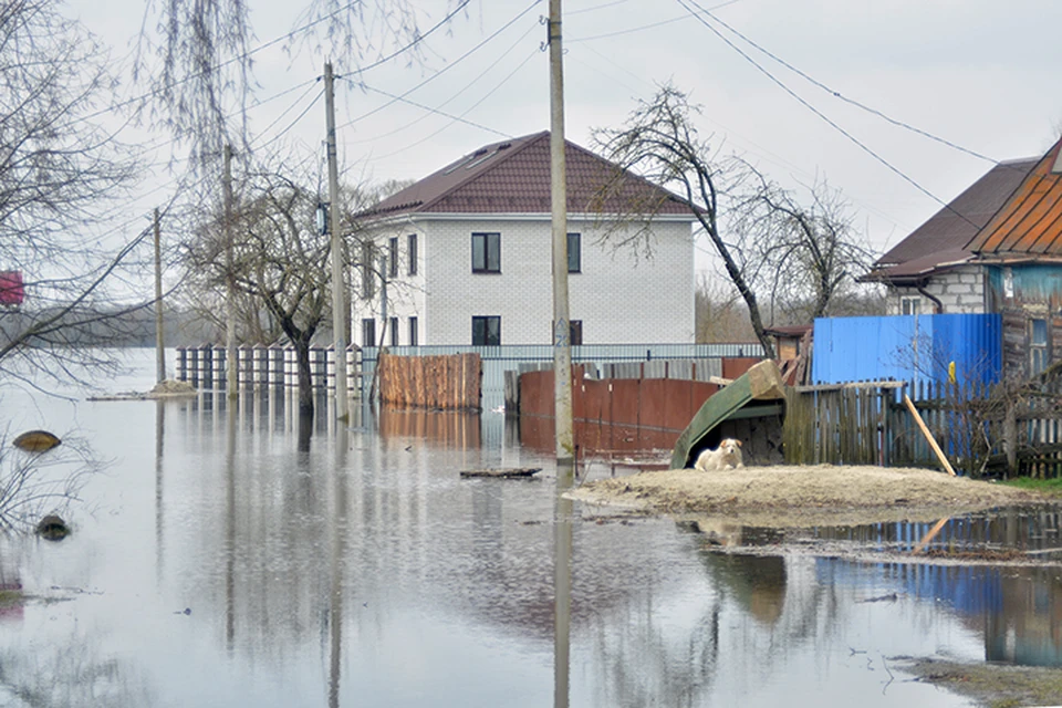 Вода 20 апреля отступила от дома на улице Кольцова в Радице-Крыловке.