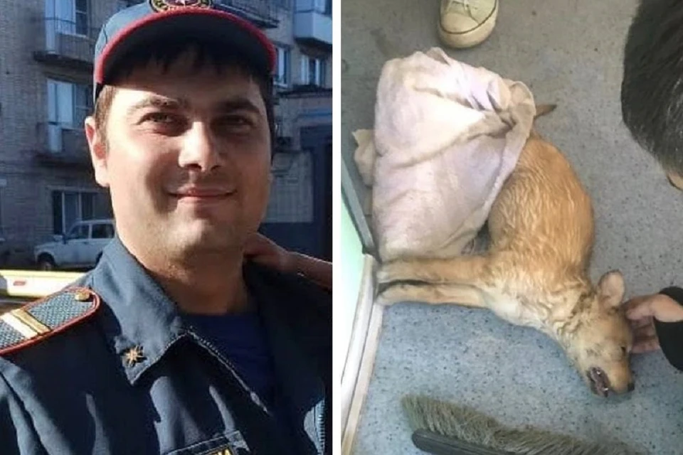 Сам Сергей пожарным работает только два года, это была первое спасенное им животное