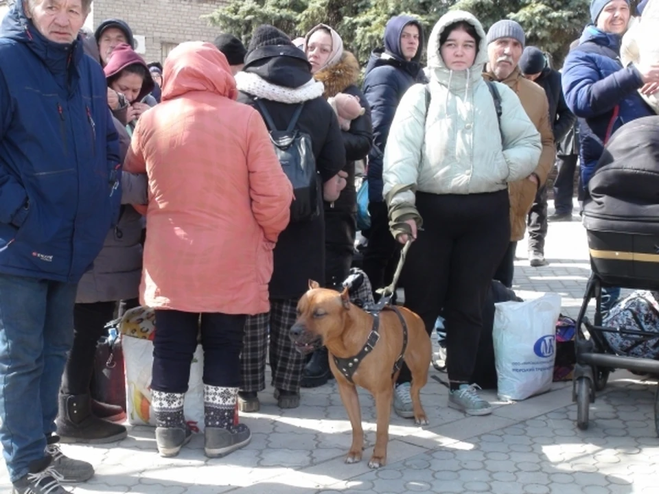 На Сахалине для беженцев из ДНР и ЛНР запустили круглосуточную горячую линию