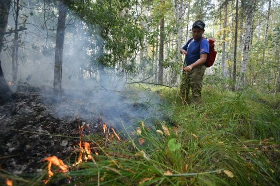 В ликвидации природных пожаров будут задействованы 5844 человека