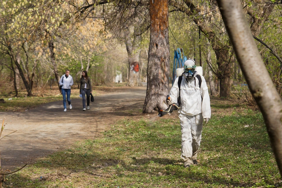 Во время обработки от насекомых людям лучше держаться от этих мест подальше.