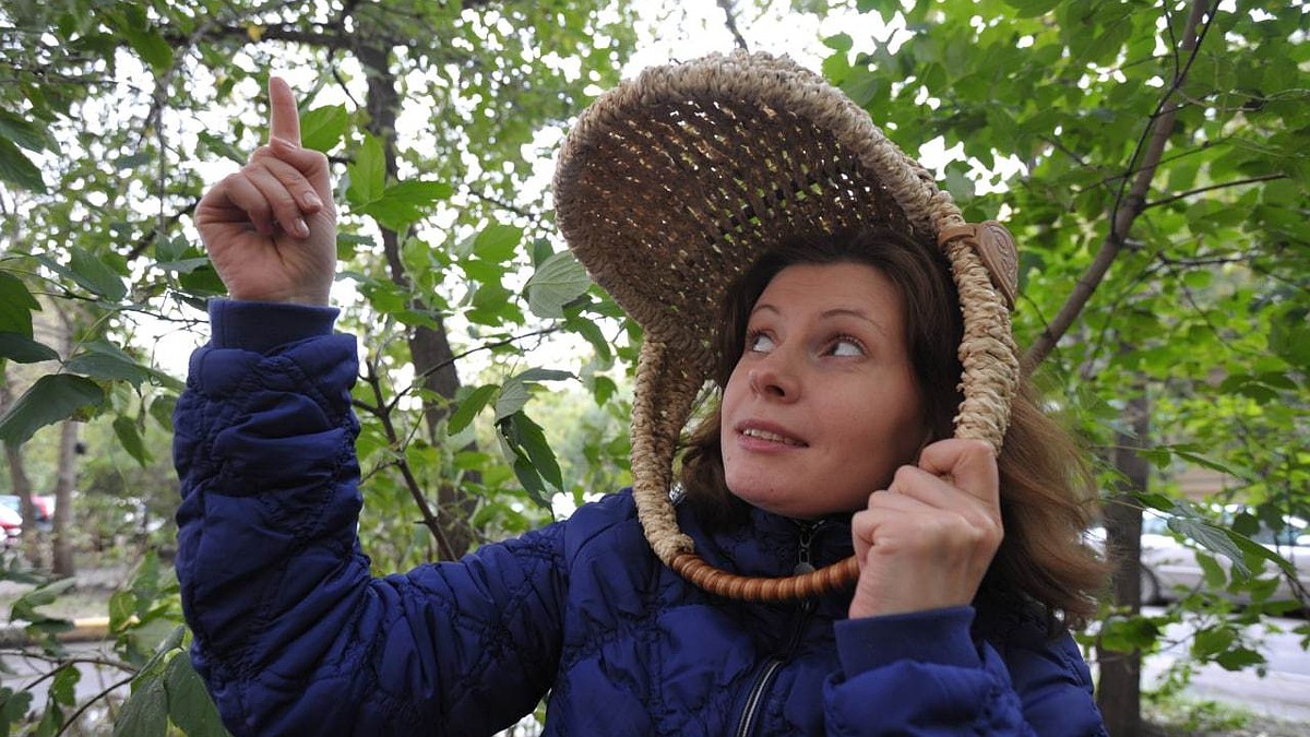 Сезон клещей в Пермском крае: как не заразиться и что делать, если вас  укусили - KP.RU