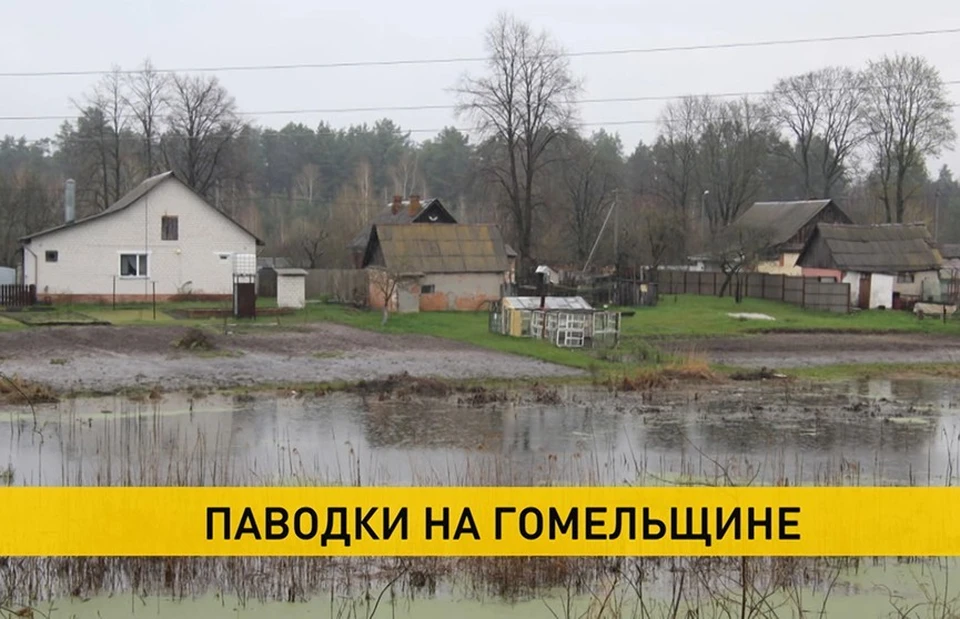 В Гомельском регионе уже было введено штормовое предупреждение. Фото: сайт ОНТ