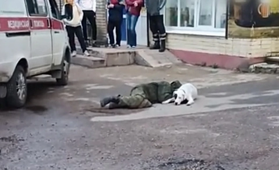 В Смоленске собака три часа не подпускала врачей и полицейских к потерявшему сознание хозяину. Фото: приют для животных «Верность» в соцсетях.
