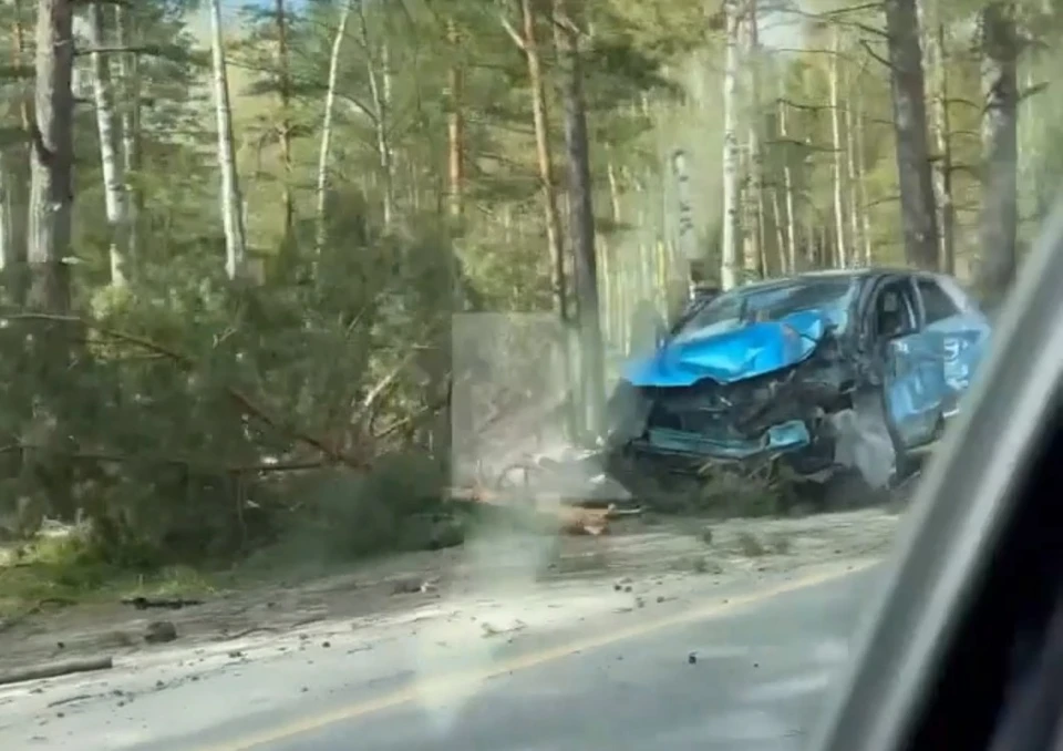 В Клепиковском районе недалеко от поворота к поселку Болонь легковой автомобиль Renault Kaptur съехал с дороги и врезался в дерево
