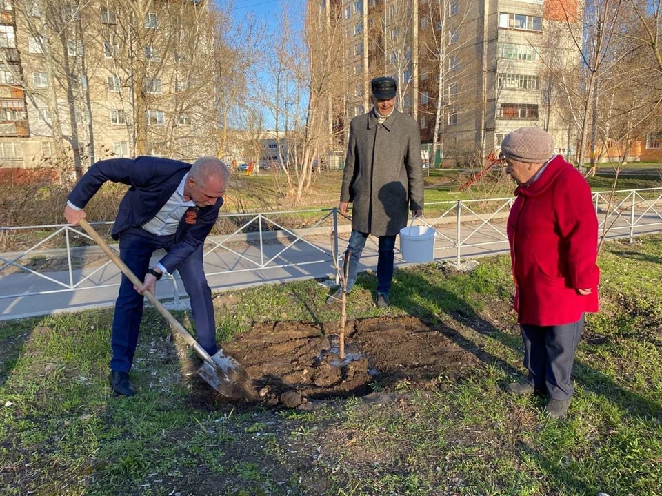Депутат Госдумы от Ульяновской области Сергей Морозов посадил юбилейное дерево ФОТО телеграм-канал Сергея Морозова