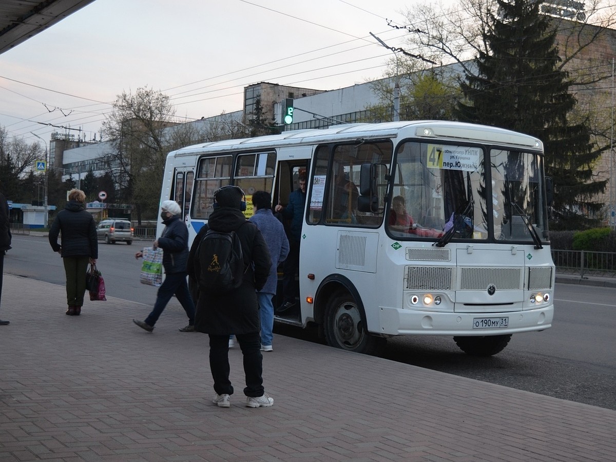 Как будет работать общественный транспорт в Орле на 9 мая 2022 года - KP.RU