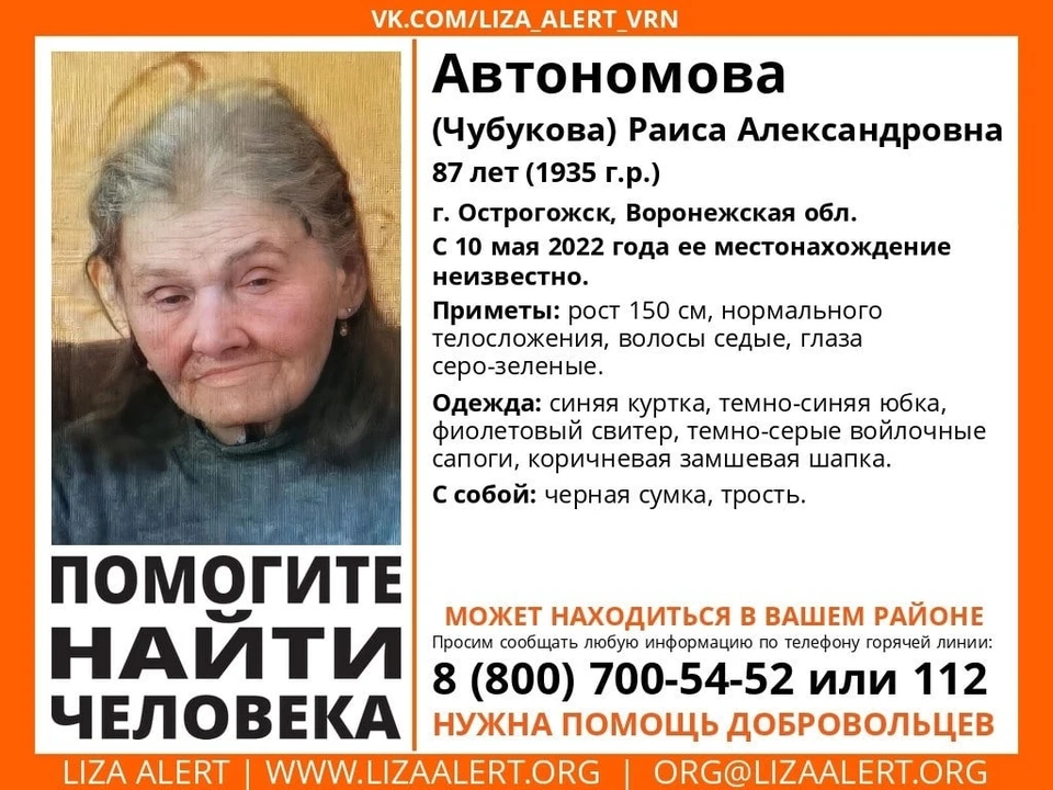 Ориентировка волонтеров