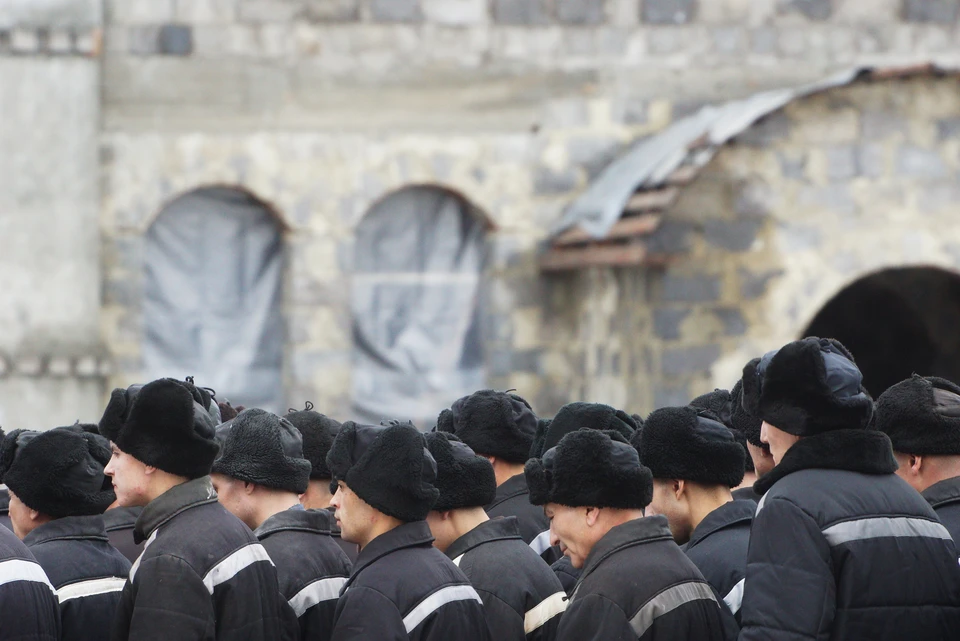 В колонии злоумышленники проведут ближайшие два года.