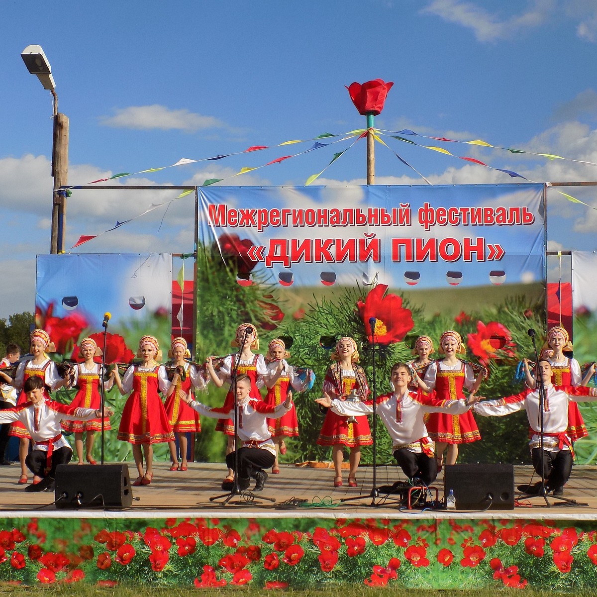 Ульяновцев приглашают на площадки фестиваля «Дикий пион» в хутор Берёзовский  - KP.RU