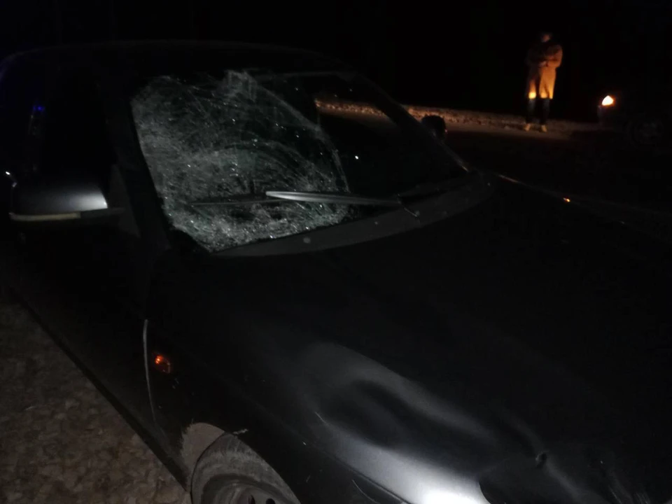 Фото: ГИБДД