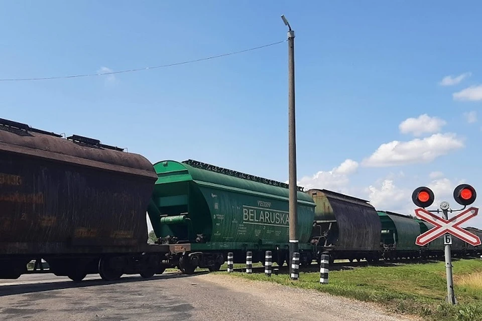 В ООН подняли вопрос по экспорту белорусских калийных удобрений, который ограничен из-за санкций. Фото: София ГОЛУБ