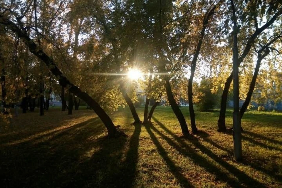 Фото: архив "КП"