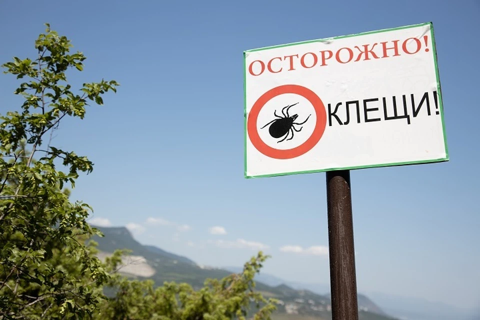 Жителей Хабаровского края предупредили о начале сезона клещей