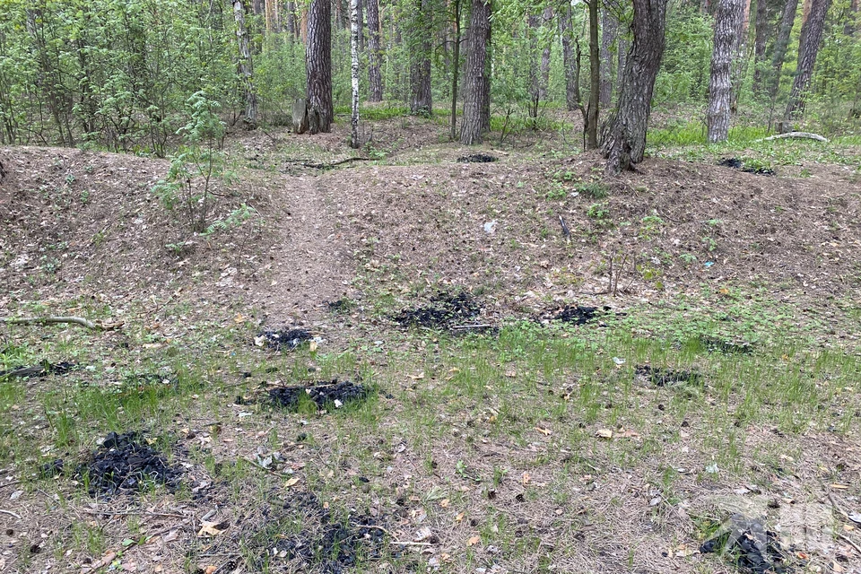 Рязанец наткнулся на неприятную находку, а потом позвонил куда следует. Вот что это оказалось.
